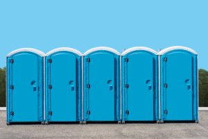 What You Need to Know About Portable Toilet Rental Services